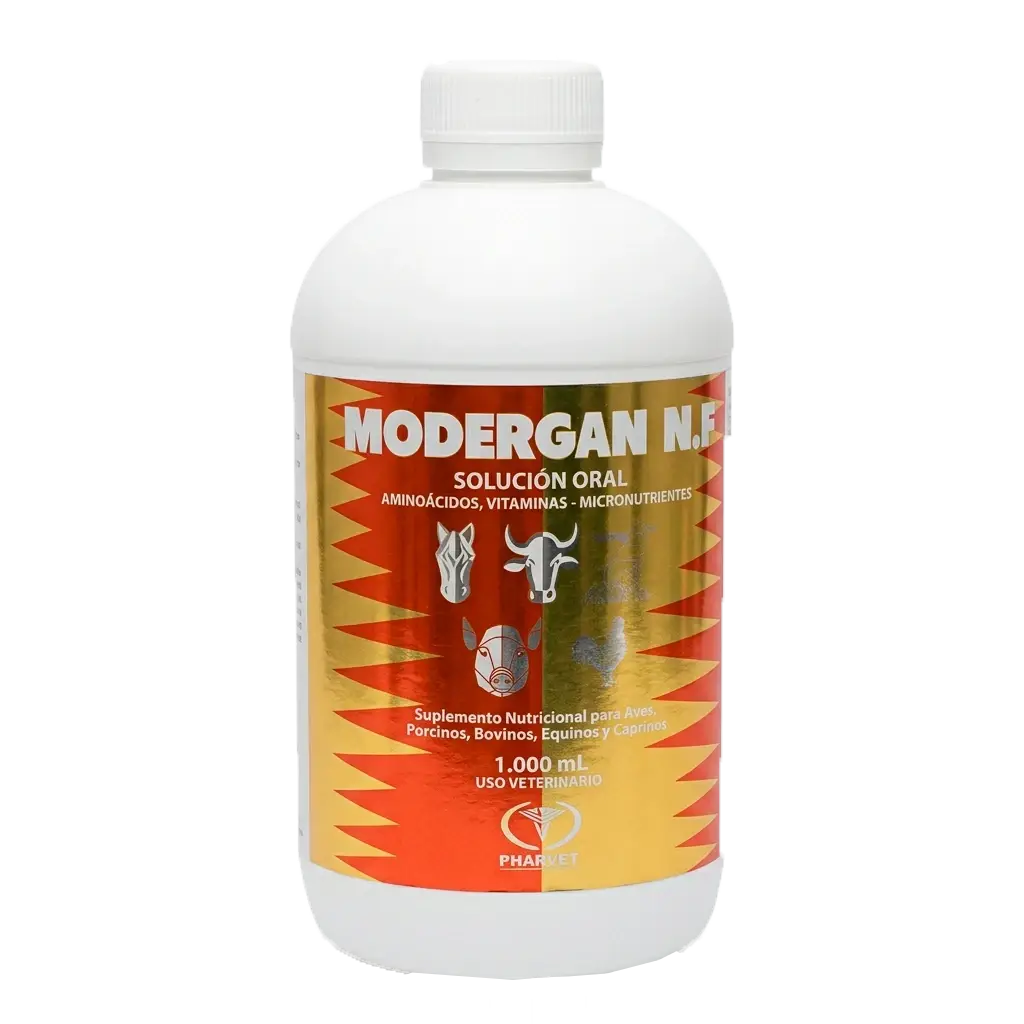 MODERGAN AVC X 1 LITRO · MULTIVITAMINICO